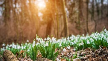 istock-638762310-352x198.jpg